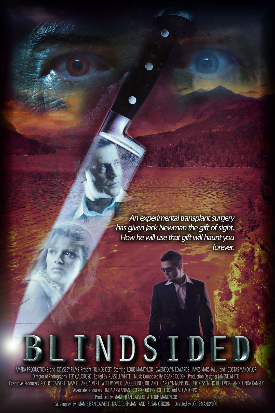 Poster di Blindsided