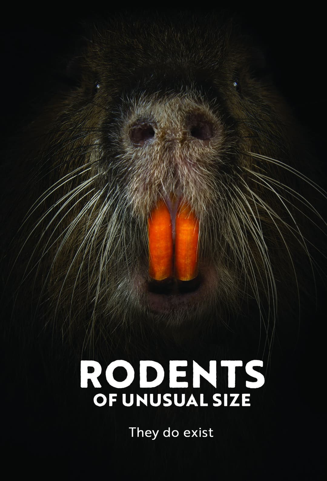 Poster di Rodents of Unusual Size