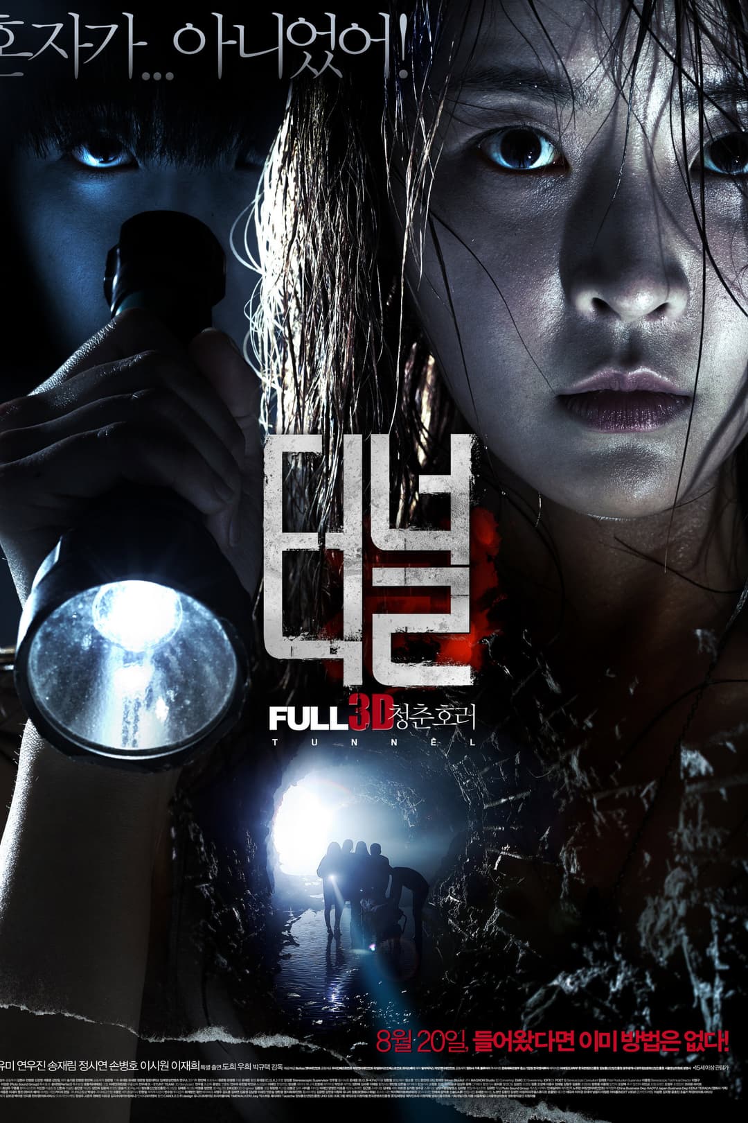 Poster di 터널 3D