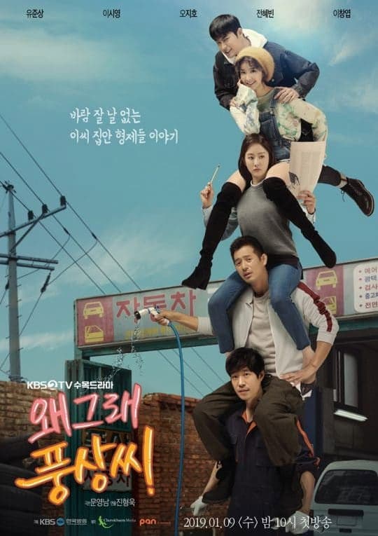 Poster di 왜그래 풍상씨