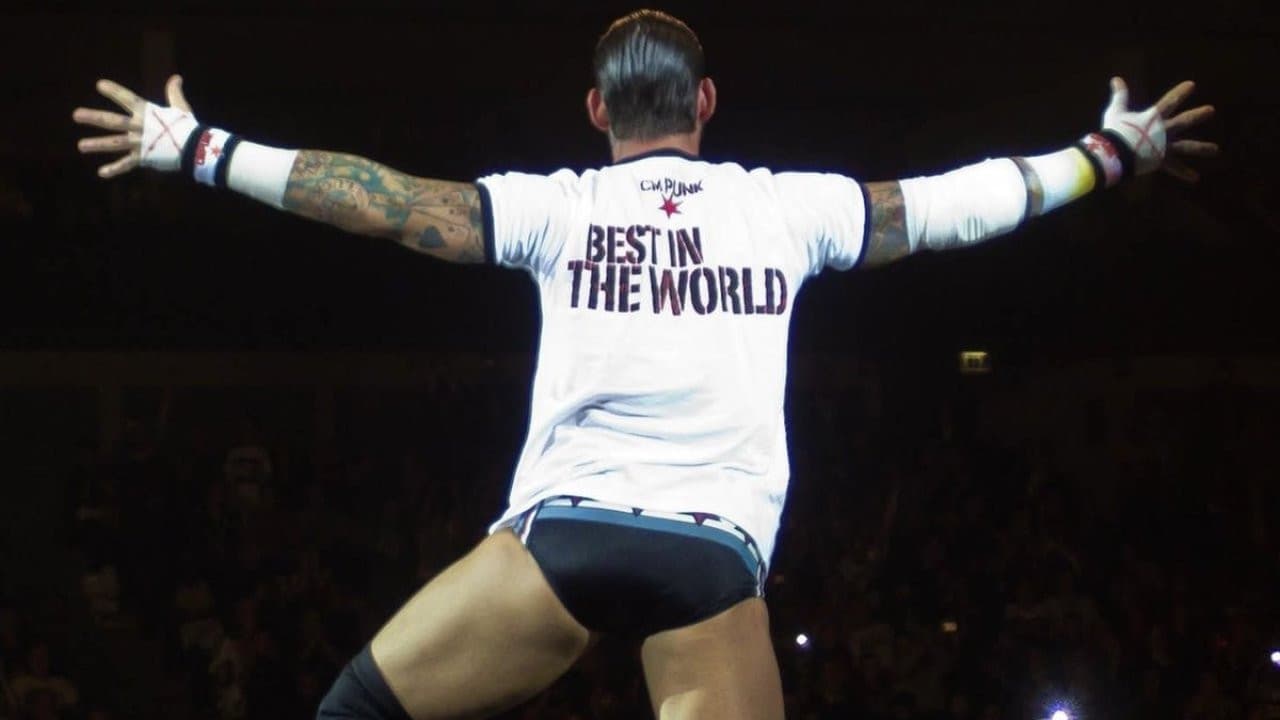 CM Punk: Best in the World - immagine