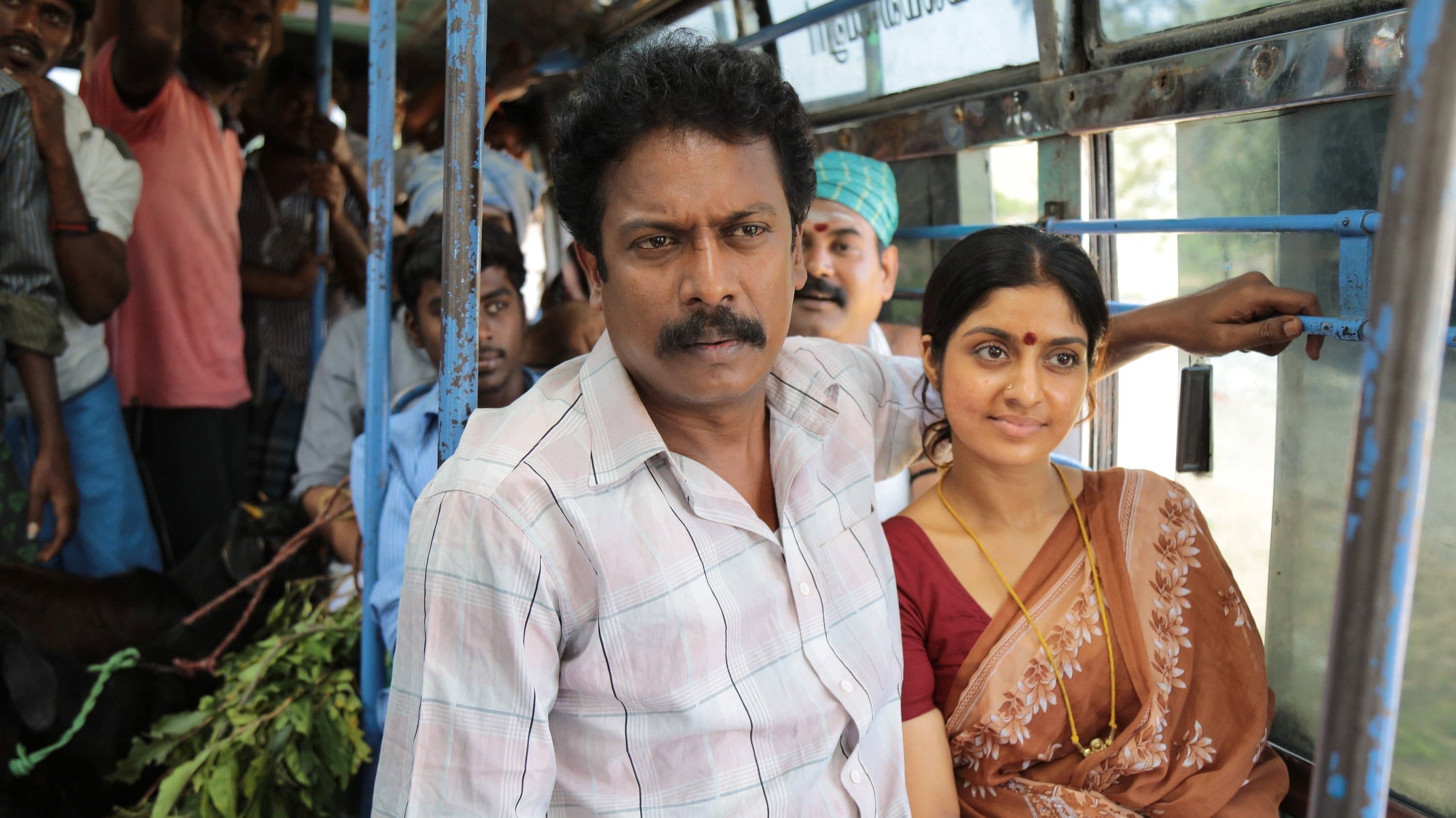 வெள்ளை யானை - immagine