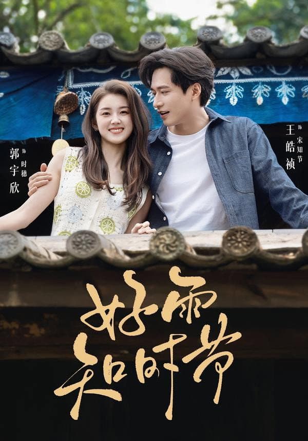 Poster di 好雨知时节