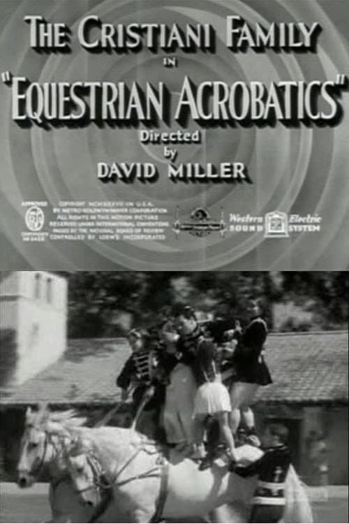 Poster di Equestrian Acrobats