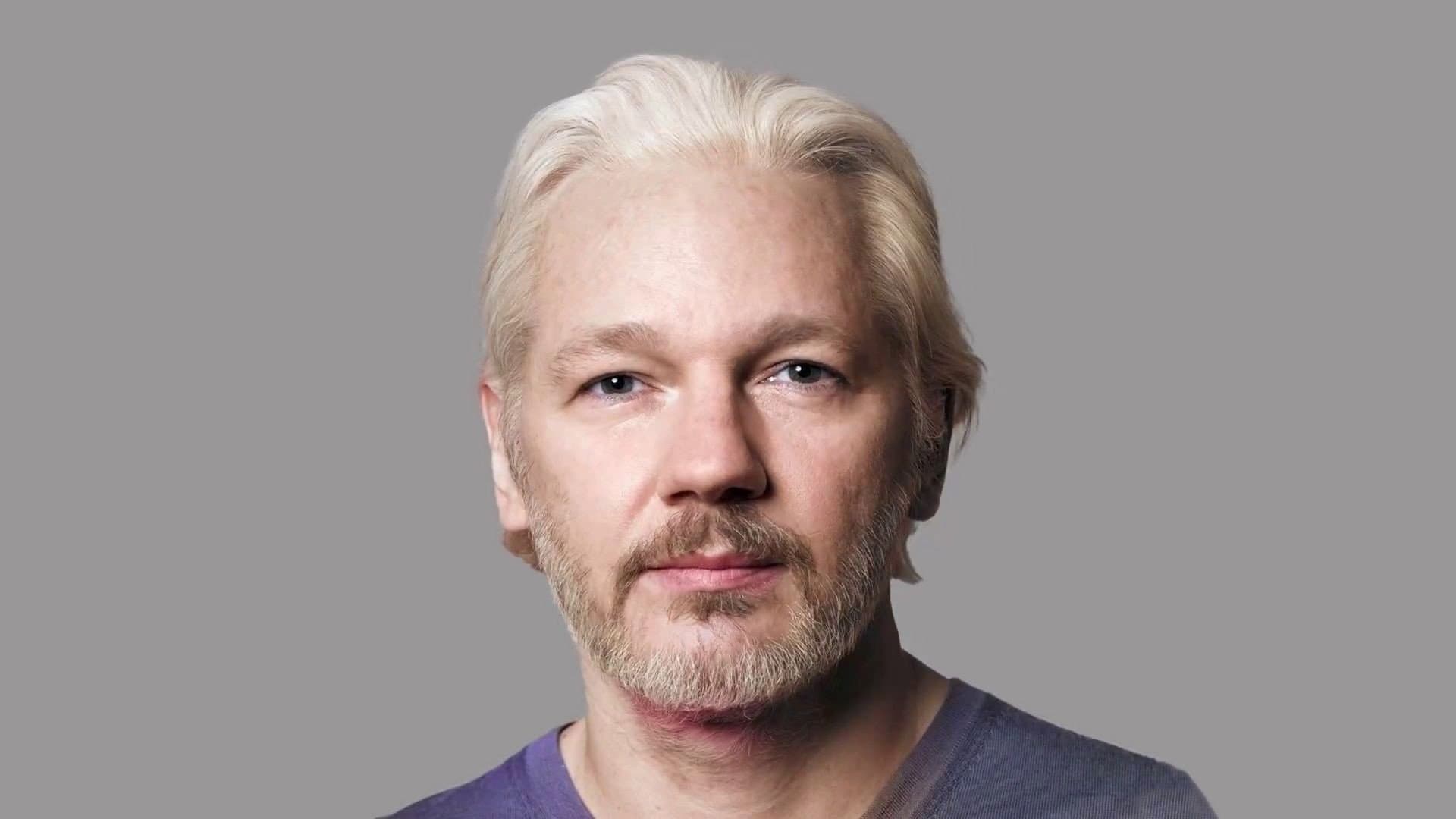 The Trust Fall: Julian Assange - immagine