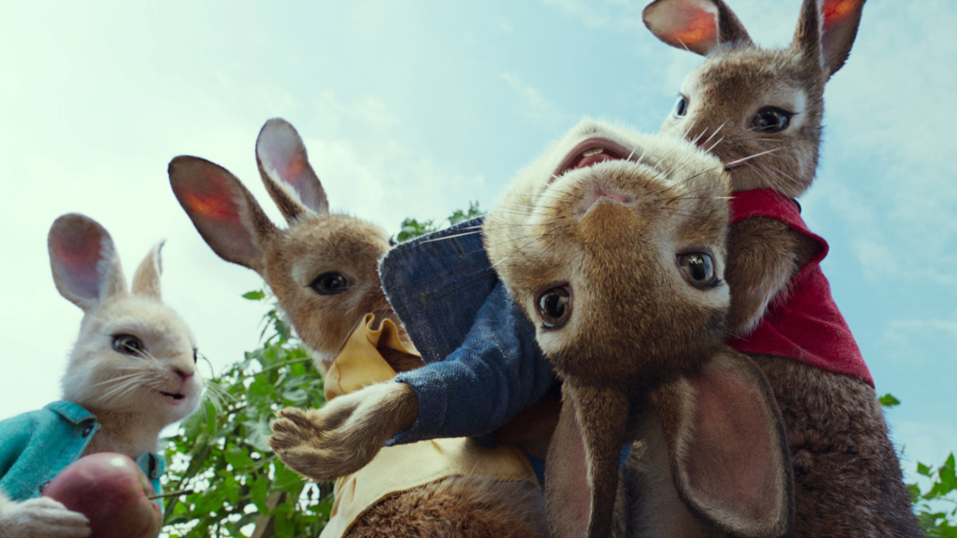 Peter Rabbit - immagine