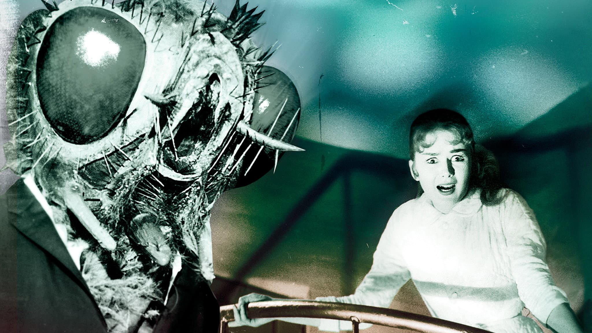 La vendetta del dottor K. - immagine