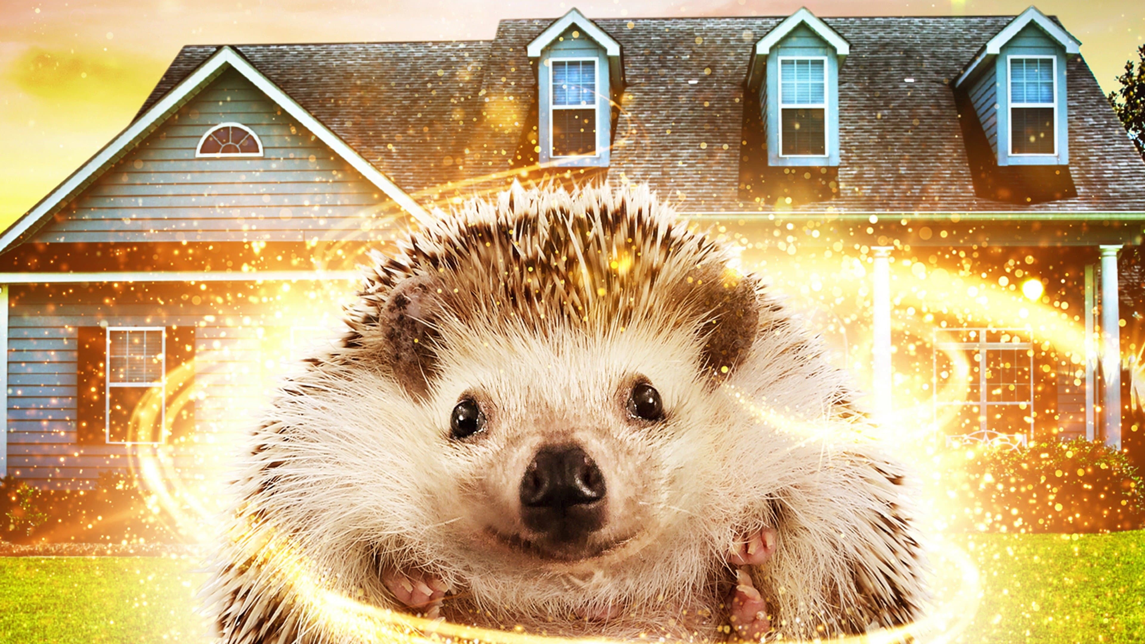 Andy the Talking Hedgehog - immagine