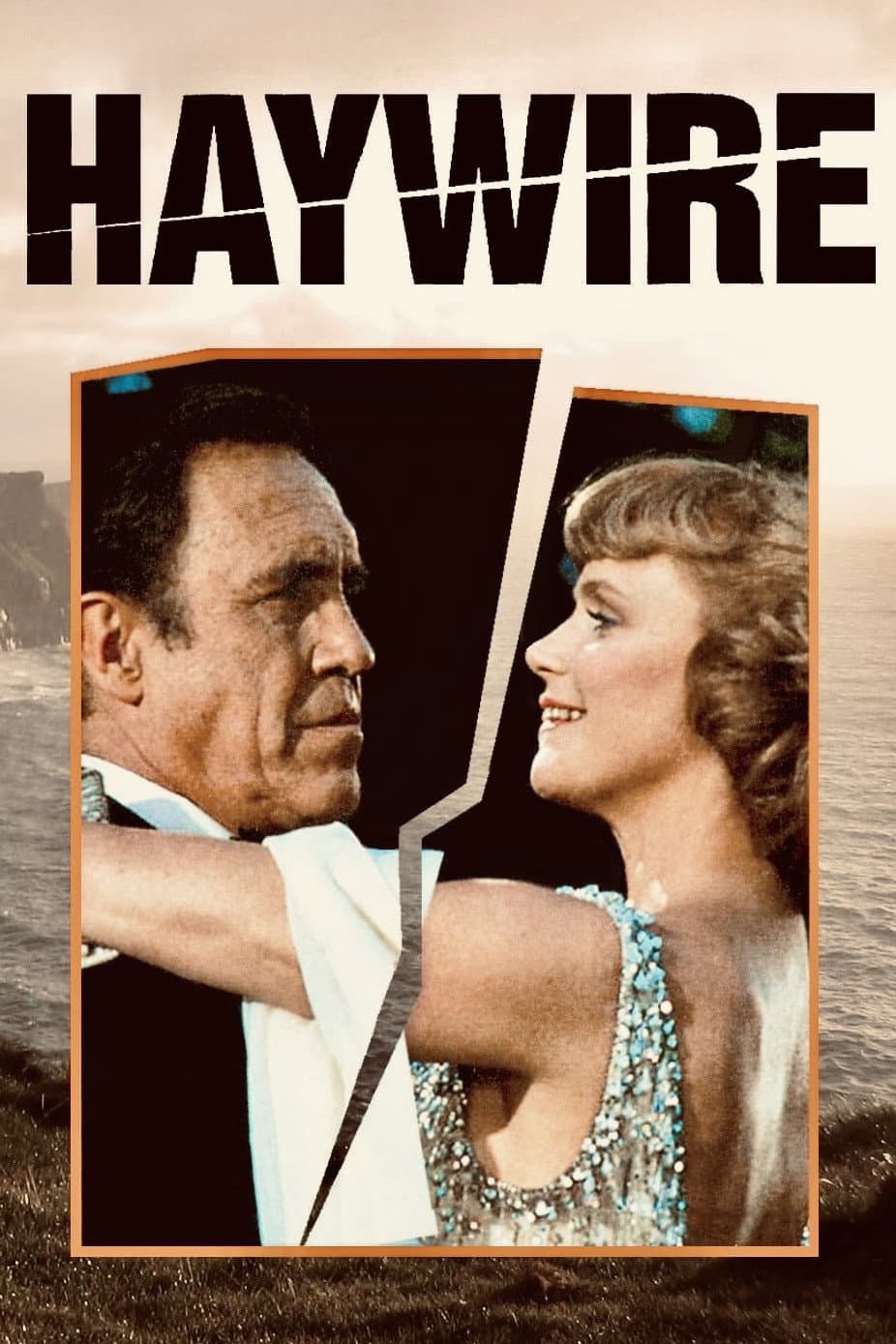 Poster di Haywire