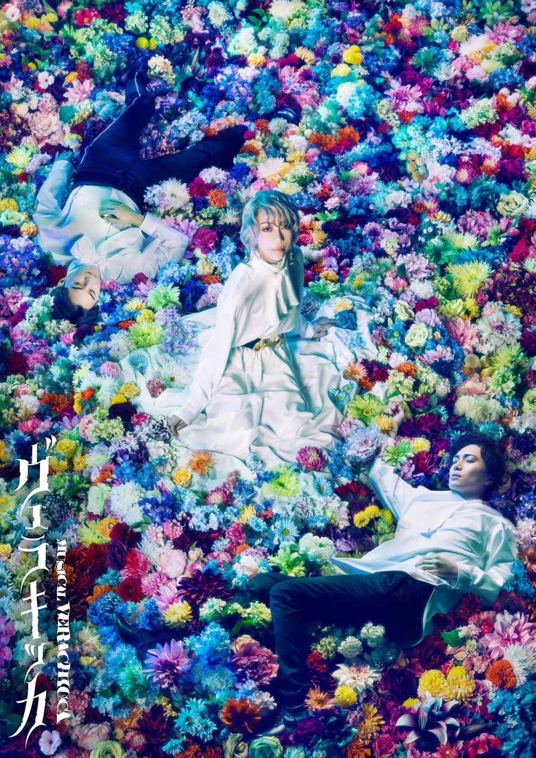 Poster di ミュージカル『ヴェラキッカ』