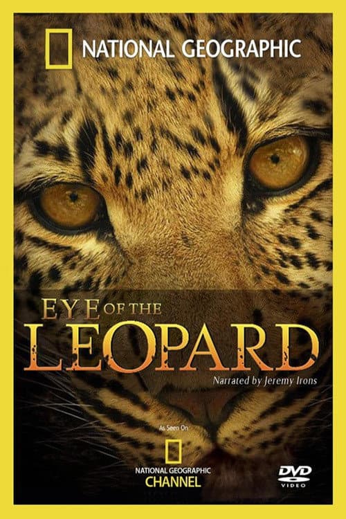 Poster di Eye of the Leopard