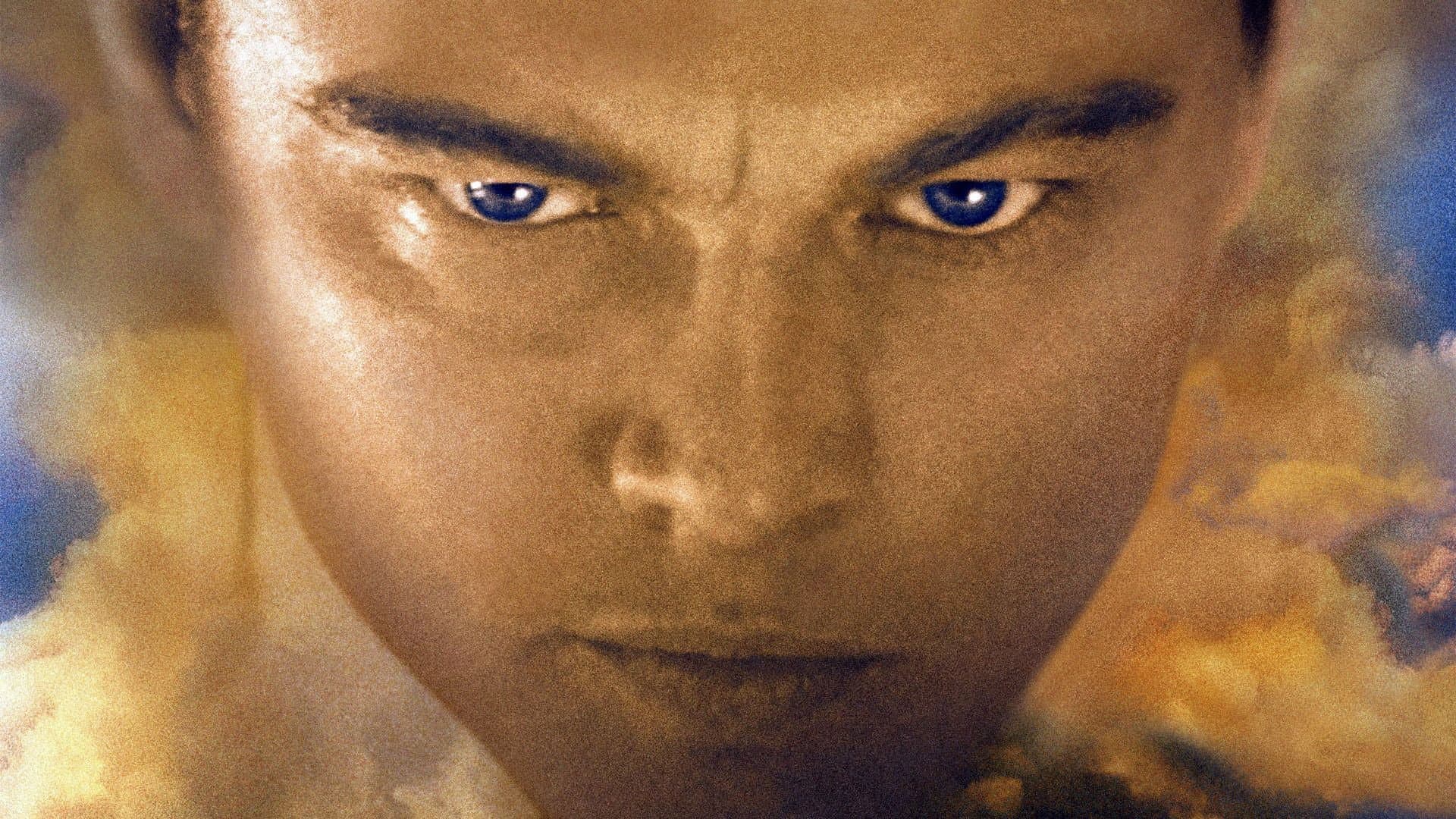 The Aviator - immagine