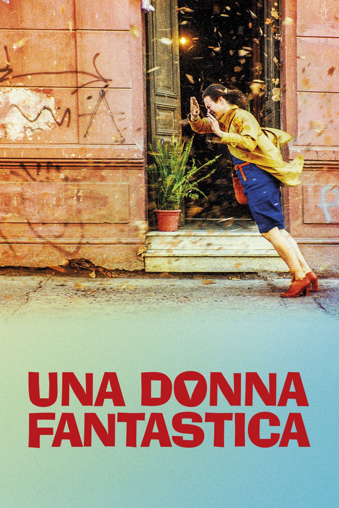 Poster di Una donna fantastica