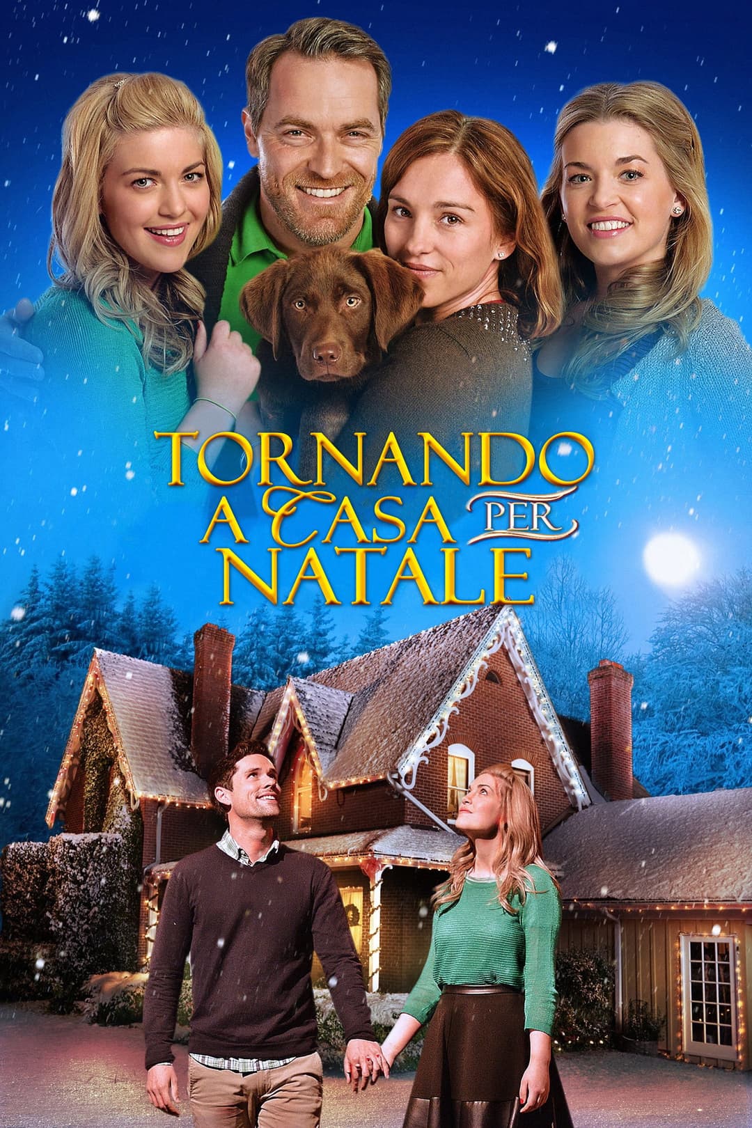 Poster di Tornando a casa per Natale