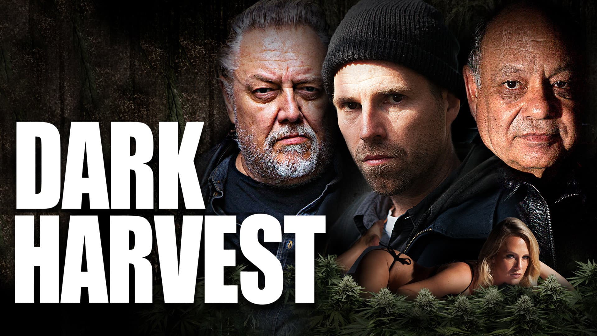 Dark Harvest - immagine