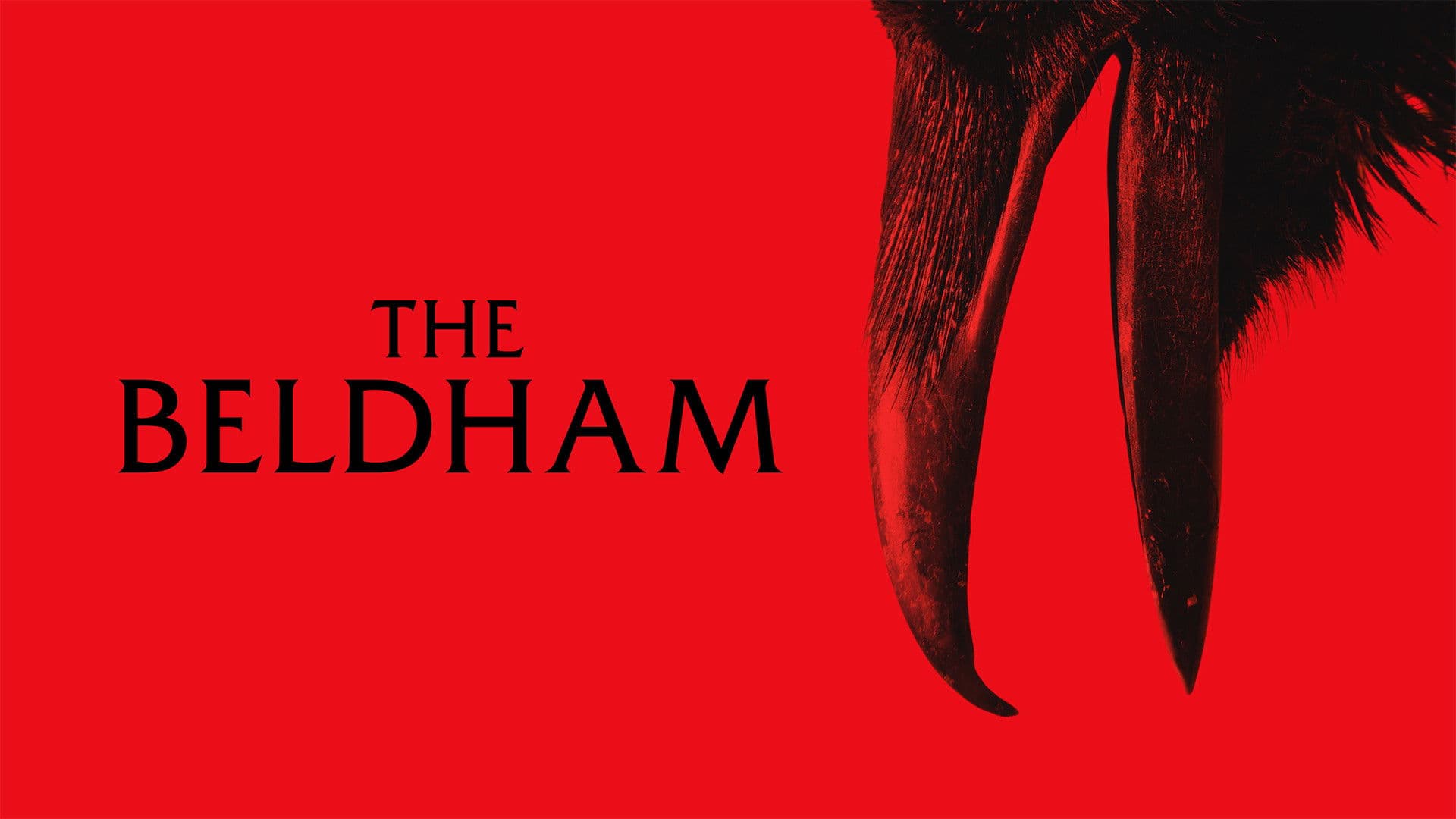 The Beldham - immagine