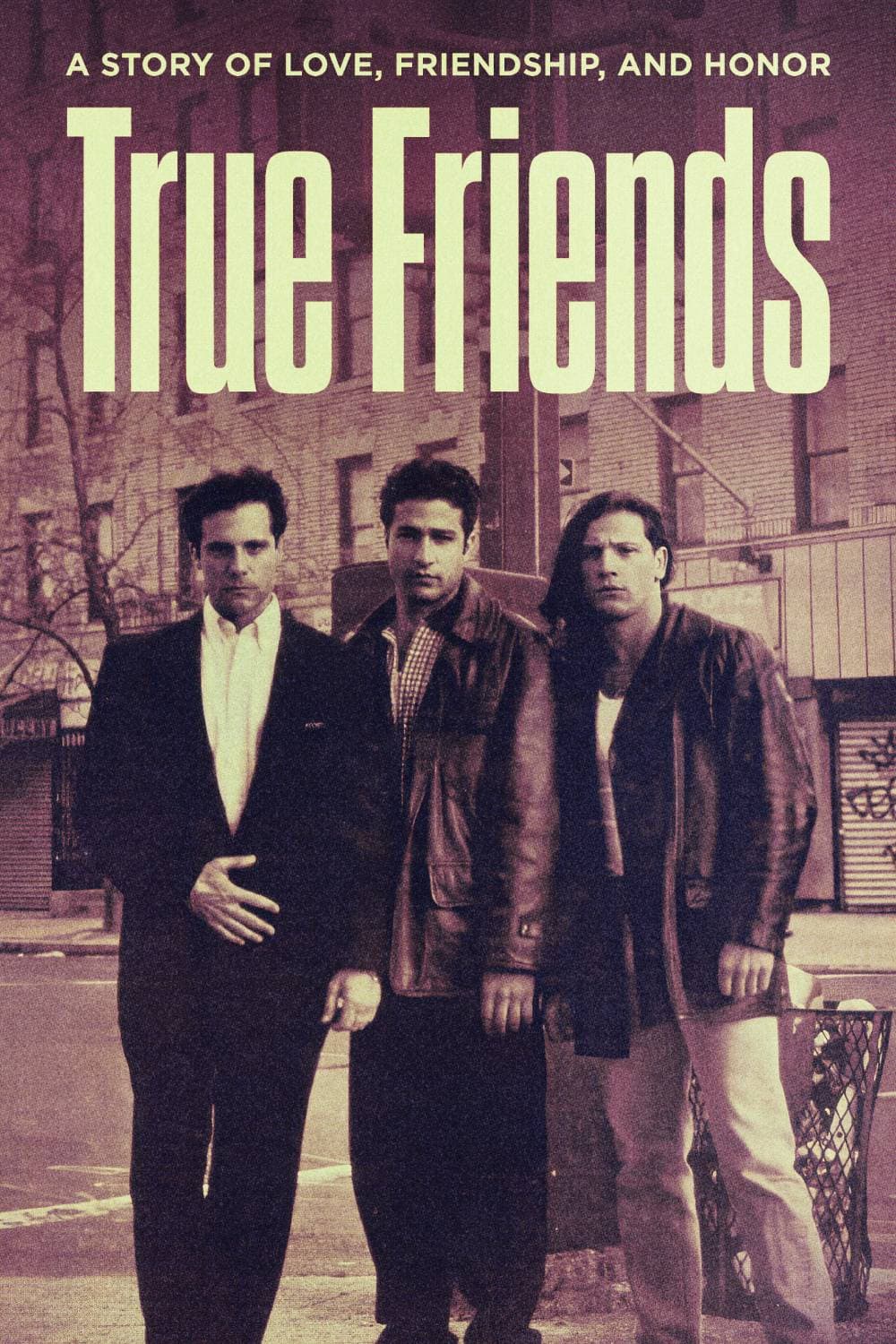Poster di True Friends