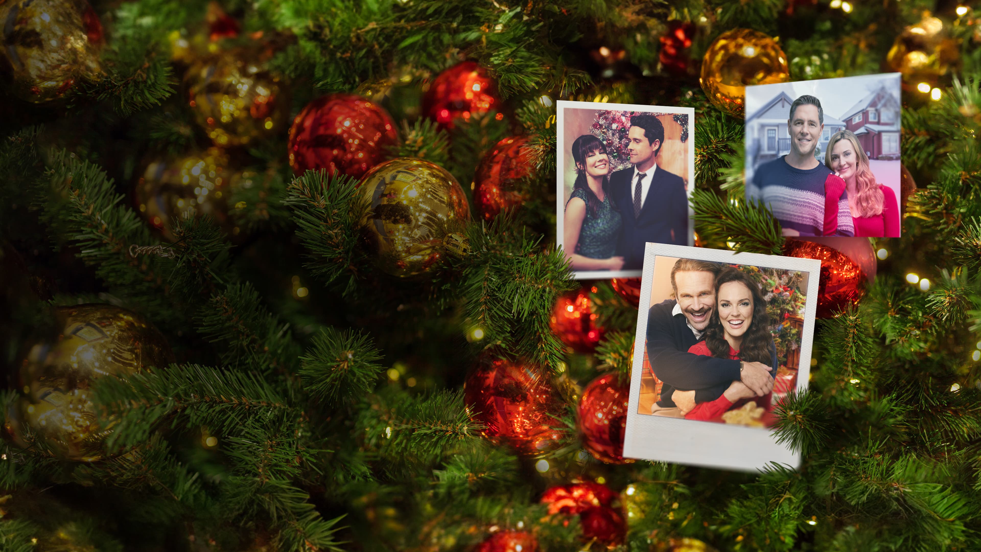 Deck the Halls on Cherry Lane - immagine