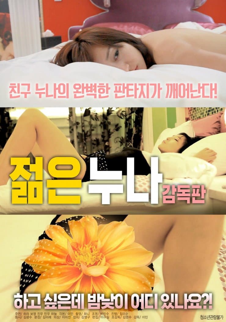Poster di 젊은 누나