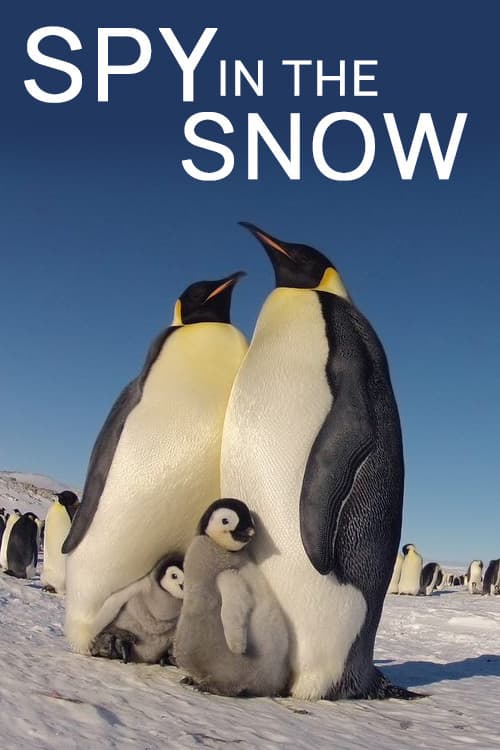 Poster di Spy in the Snow
