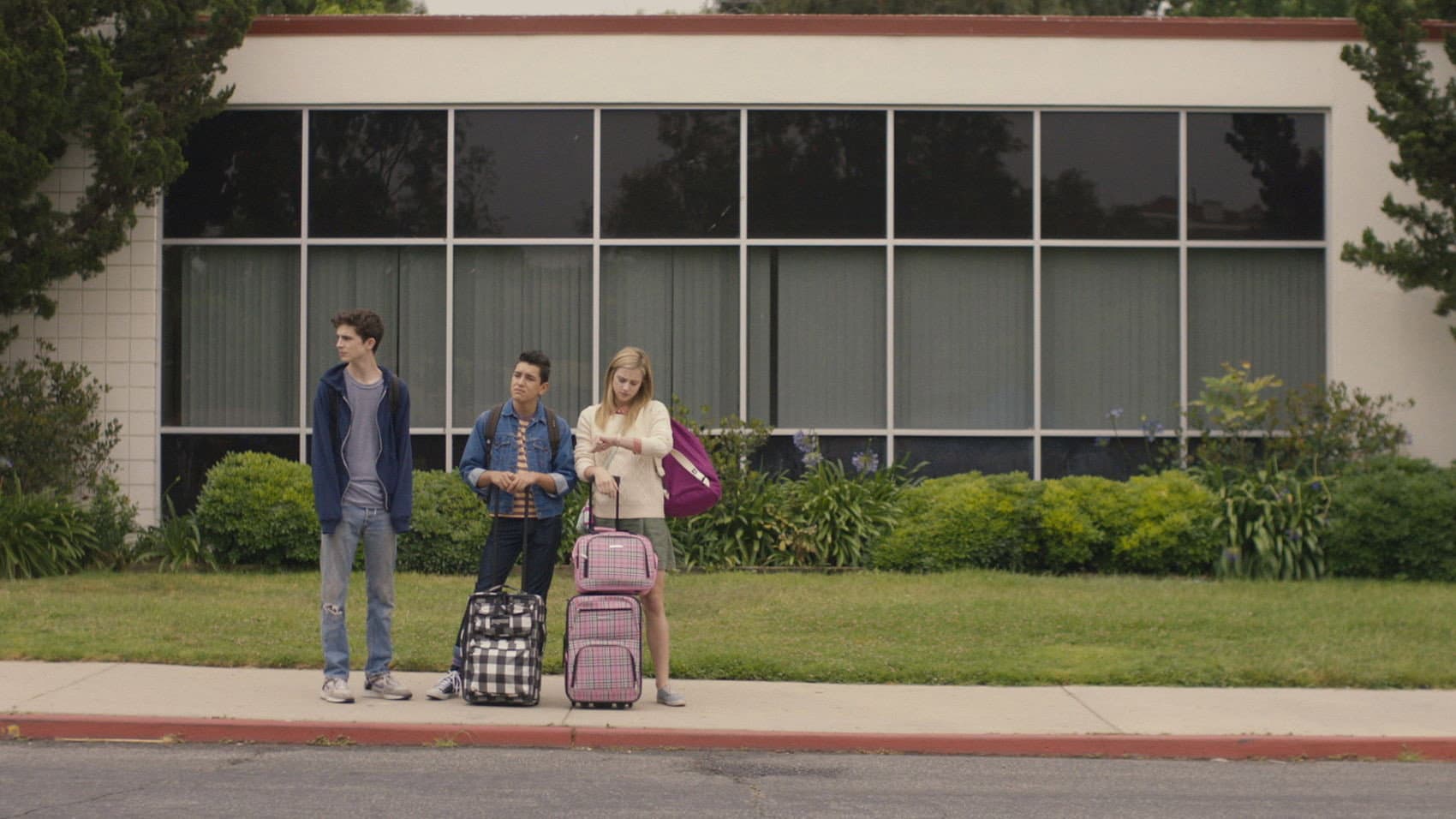 Miss Stevens - immagine