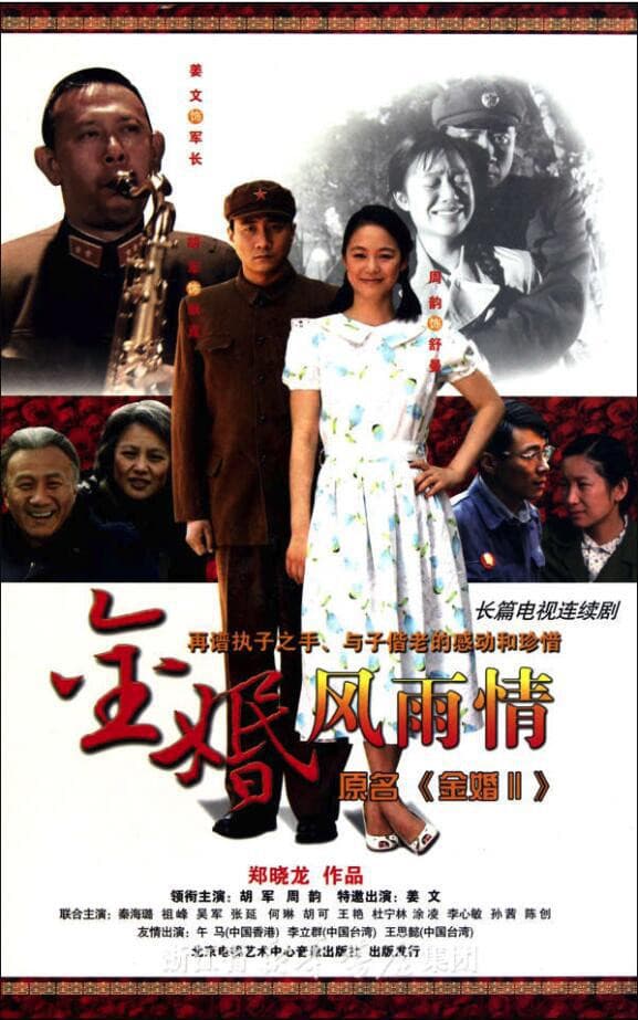 Poster di 金婚·风雨情