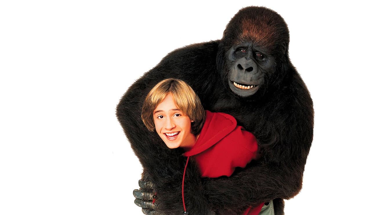 Una gorilla per amica - immagine