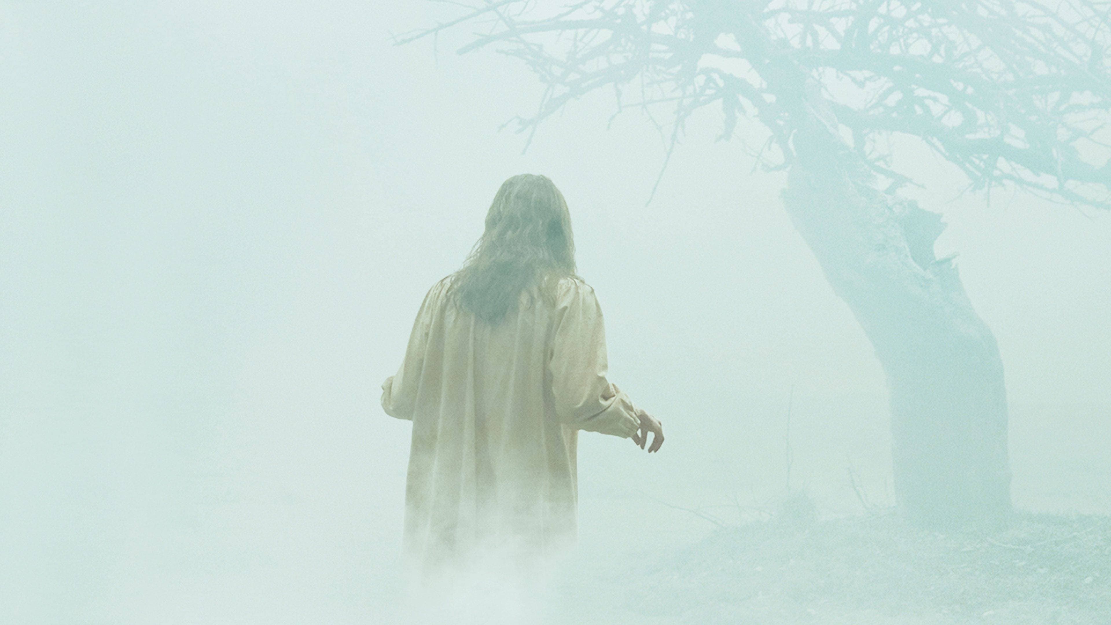The Exorcism of Emily Rose - immagine