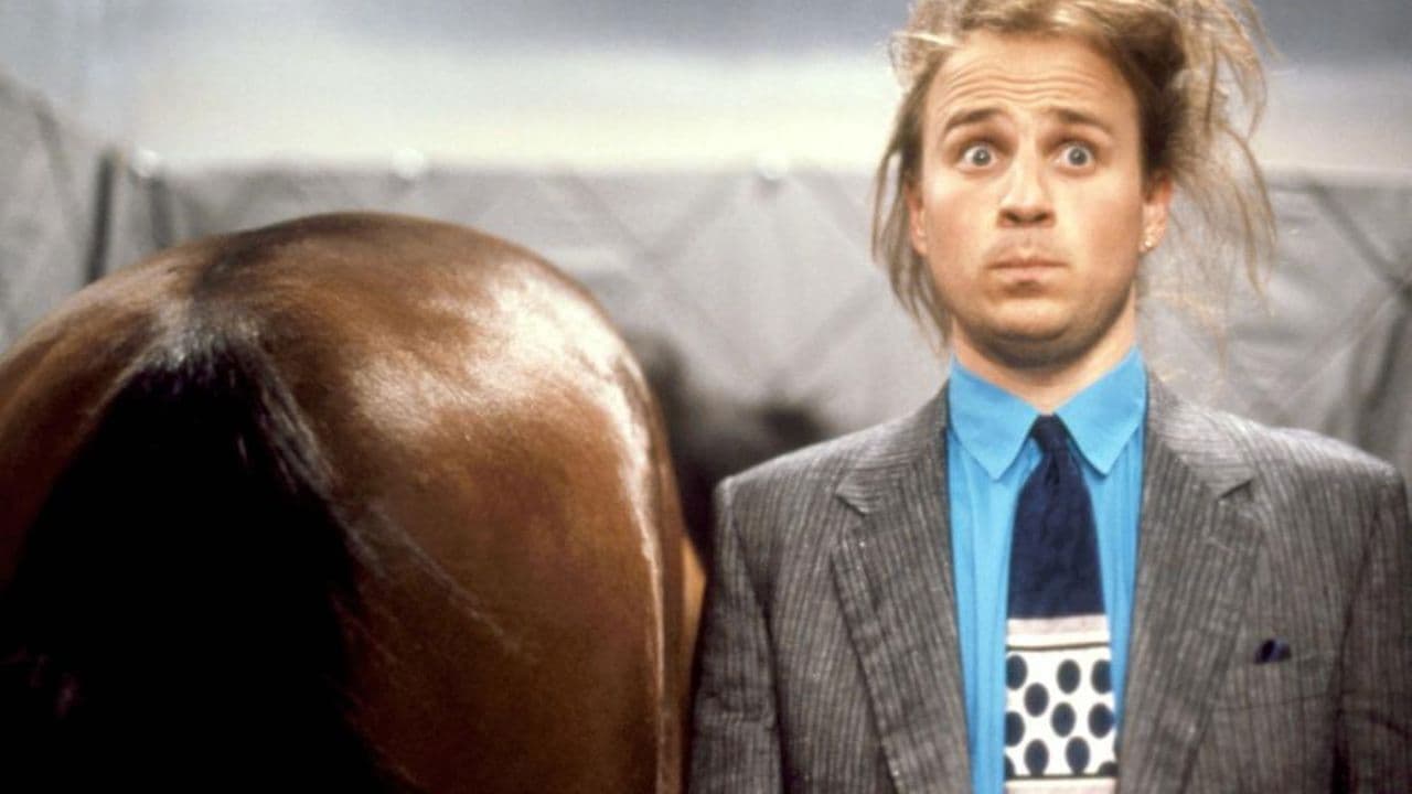 Don, un cavallo per amico - immagine