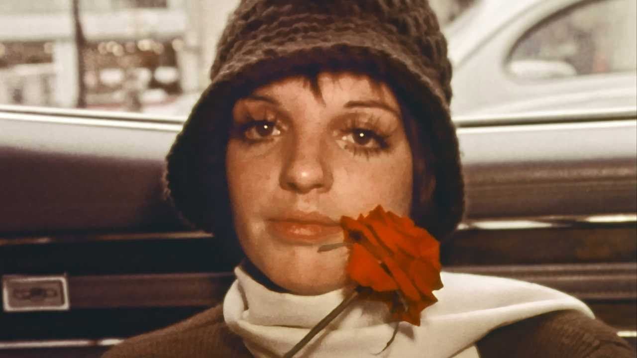 Liza: A Truly Terrific Absolutely True Story - immagine