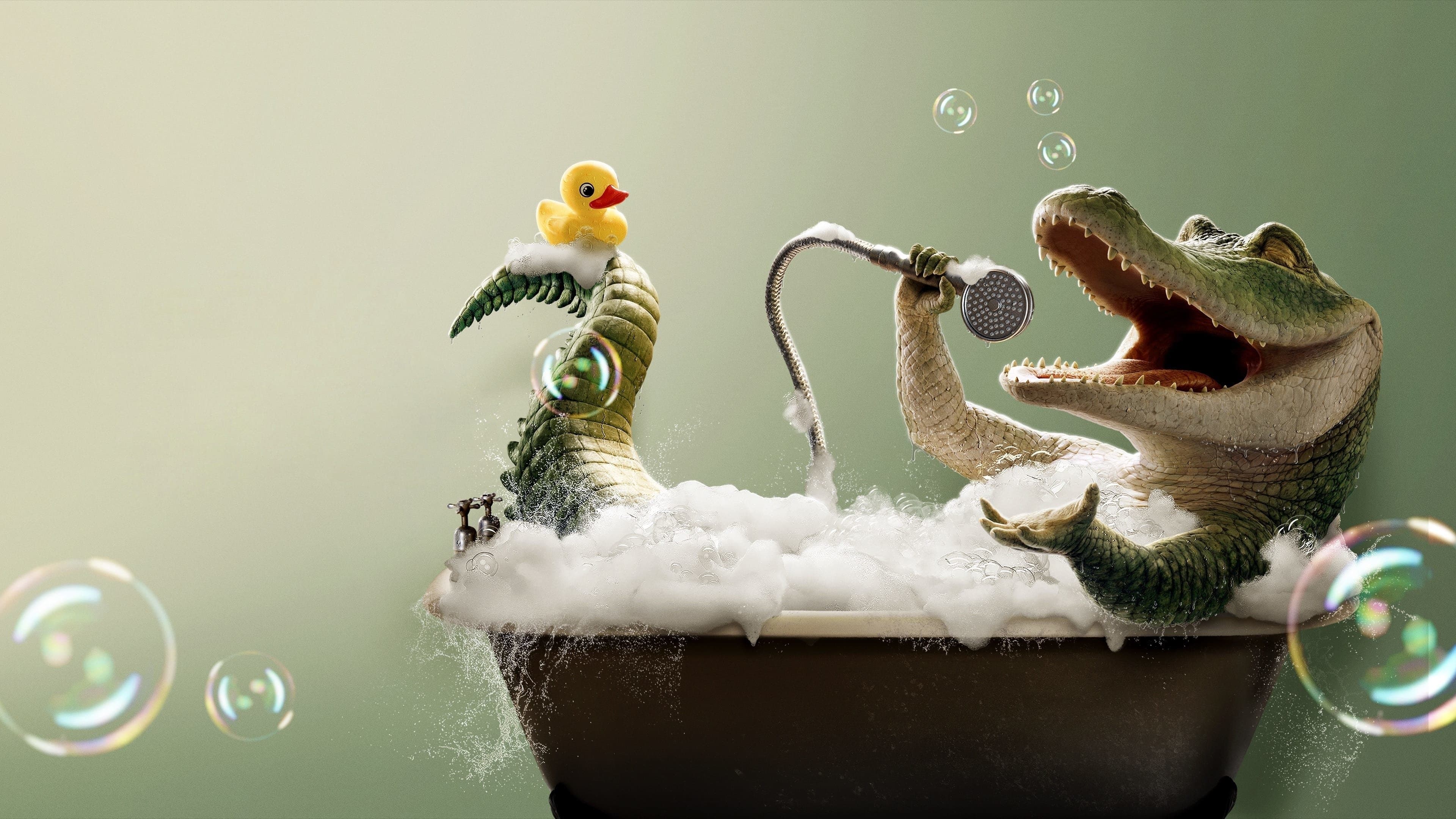 Il talento di Mr. Crocodile - immagine