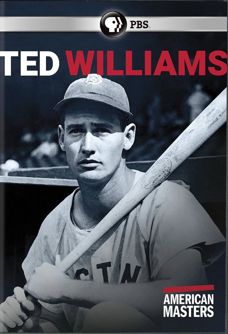 Poster di Ted Williams: "The Greatest Hitter Who Ever Lived"