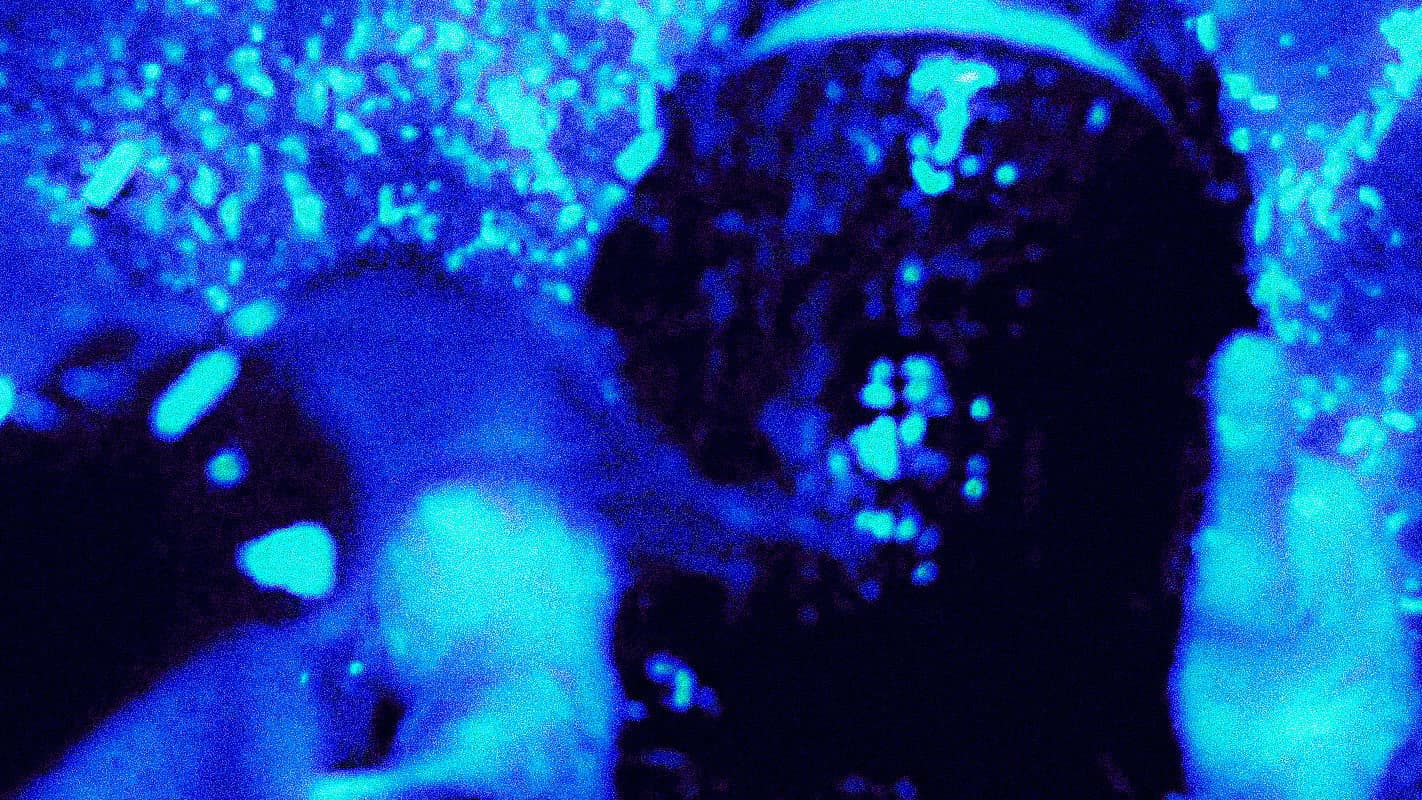 Zeros and Ones - immagine