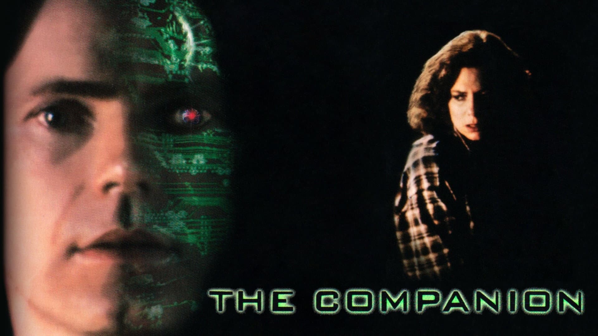 The Companion - immagine