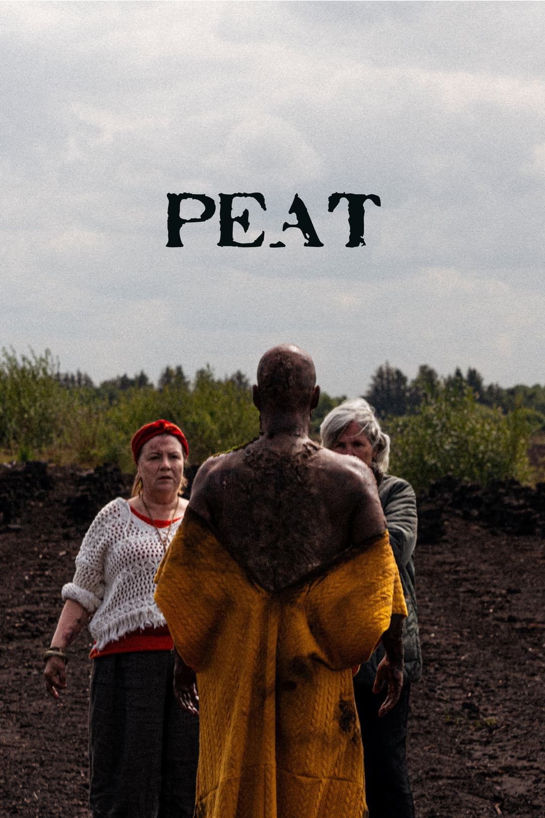 Poster di Peat