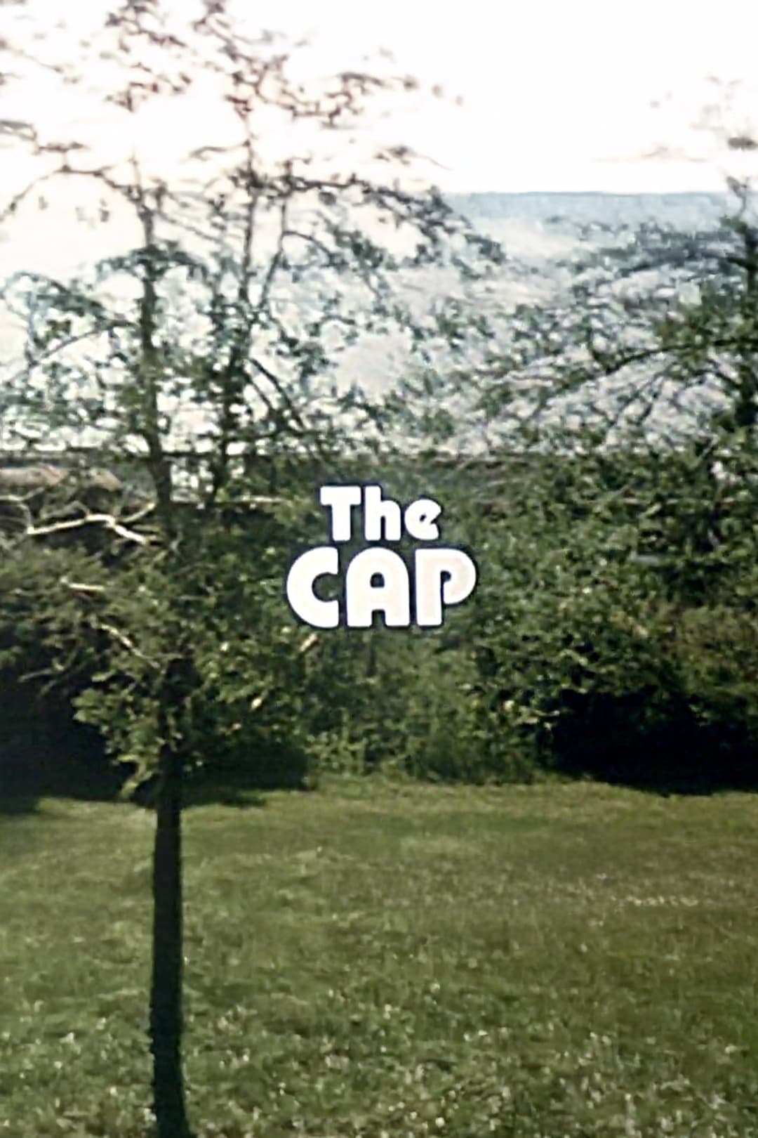 Poster di The Cap