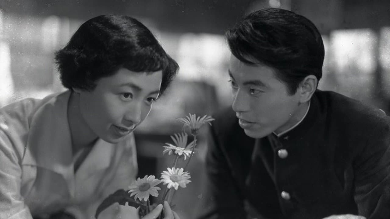 学生心中 - immagine