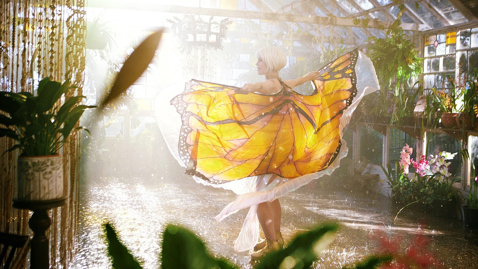 The Butterfly Tree - immagine