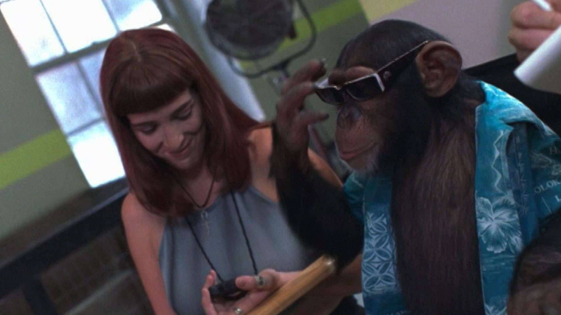 Monkey Business - immagine