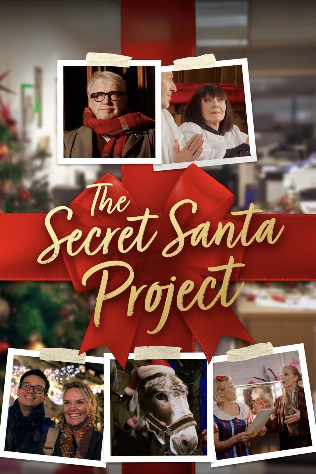 Poster di The Secret Santa Project
