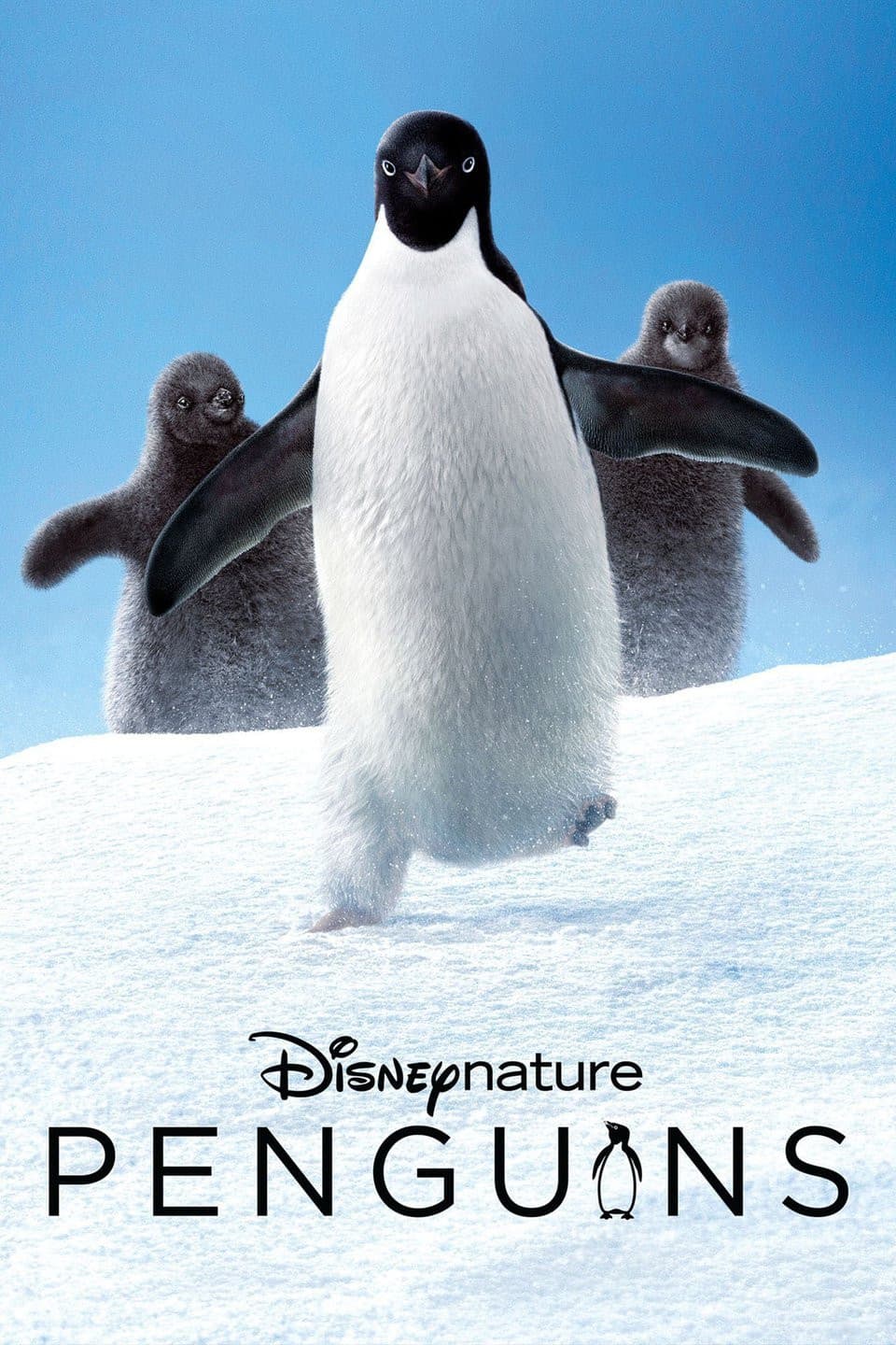 Poster di Penguins