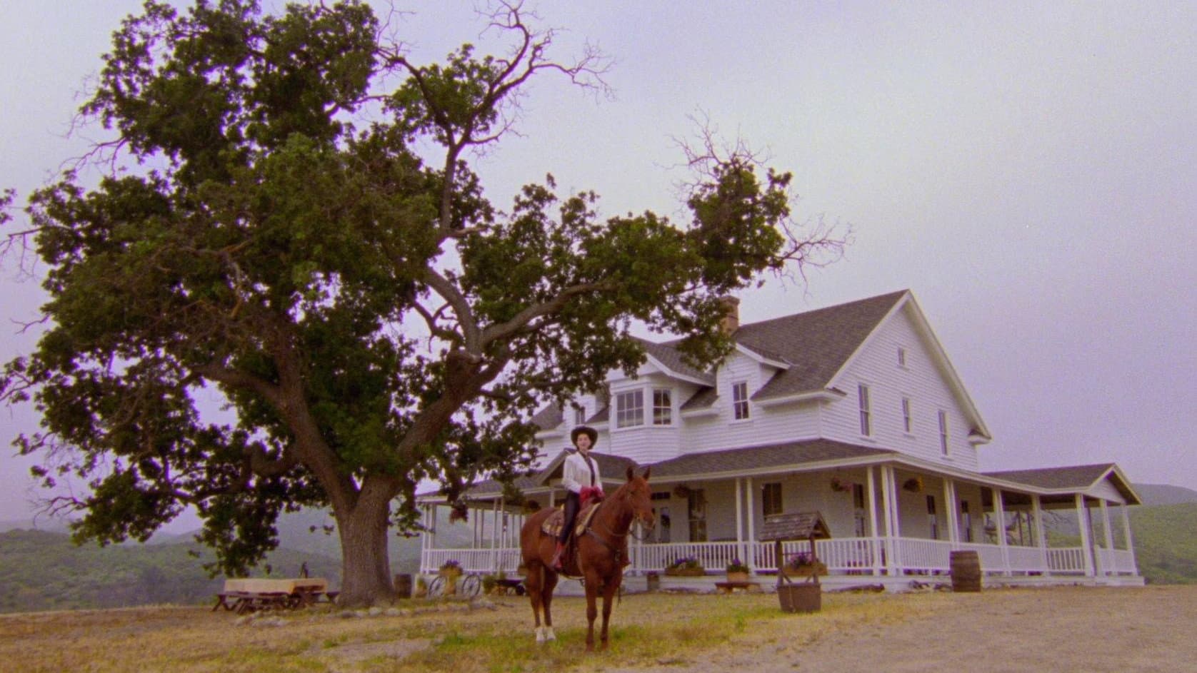 The Nowhere Inn - immagine