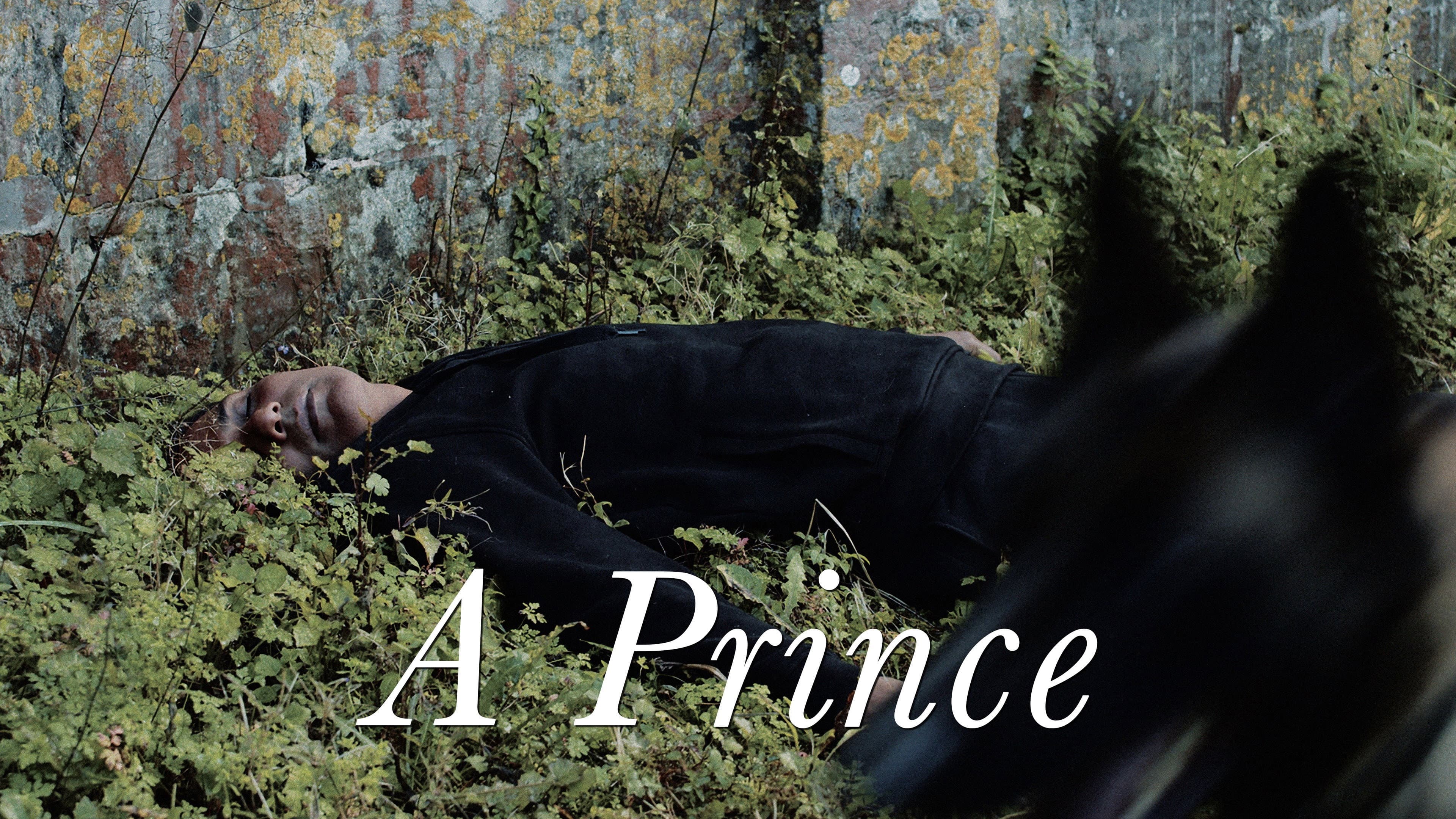 A Prince - immagine