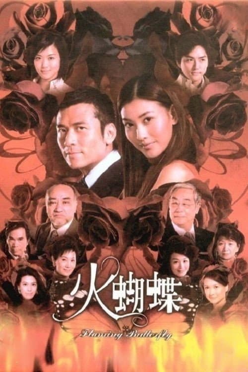 Poster di 火蝴蝶