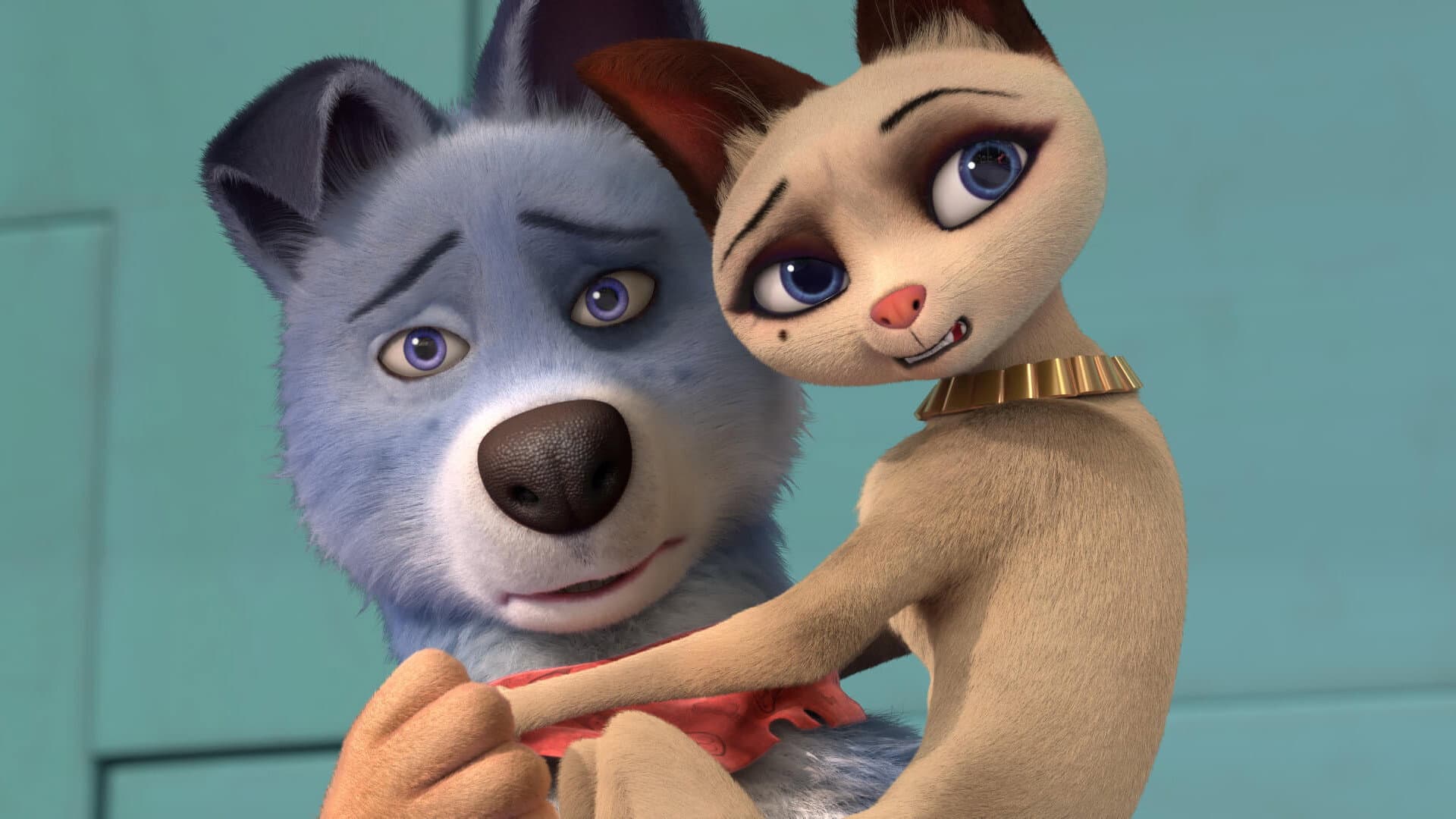 Pets United - immagine