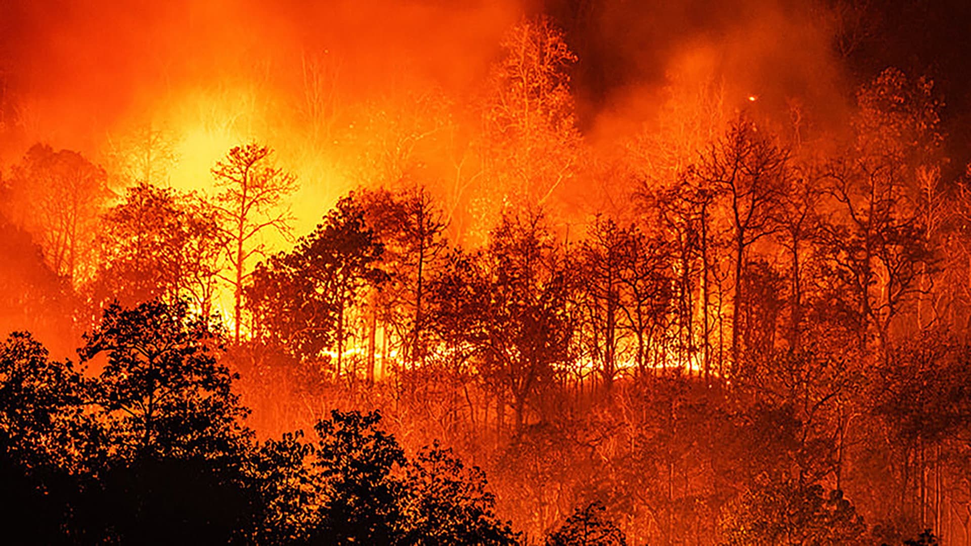 Fuoco mortale - immagine