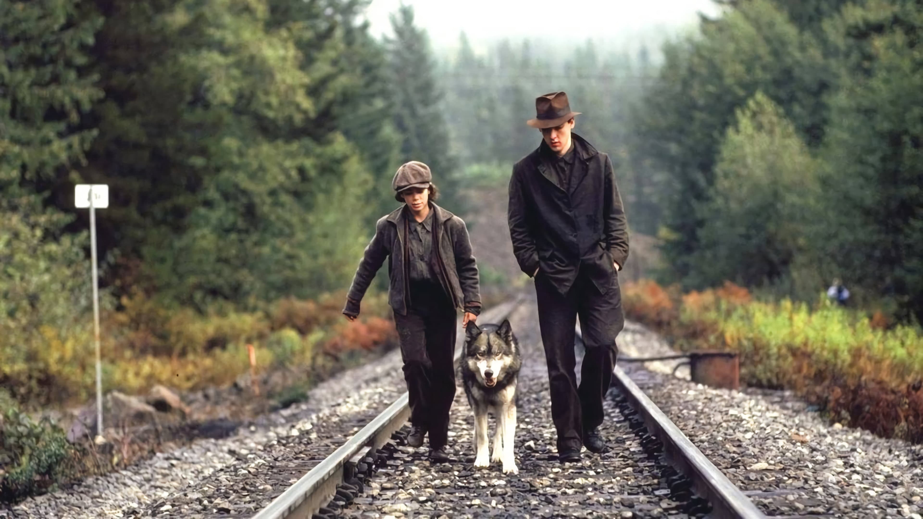 Il viaggio di Natty Gann - immagine