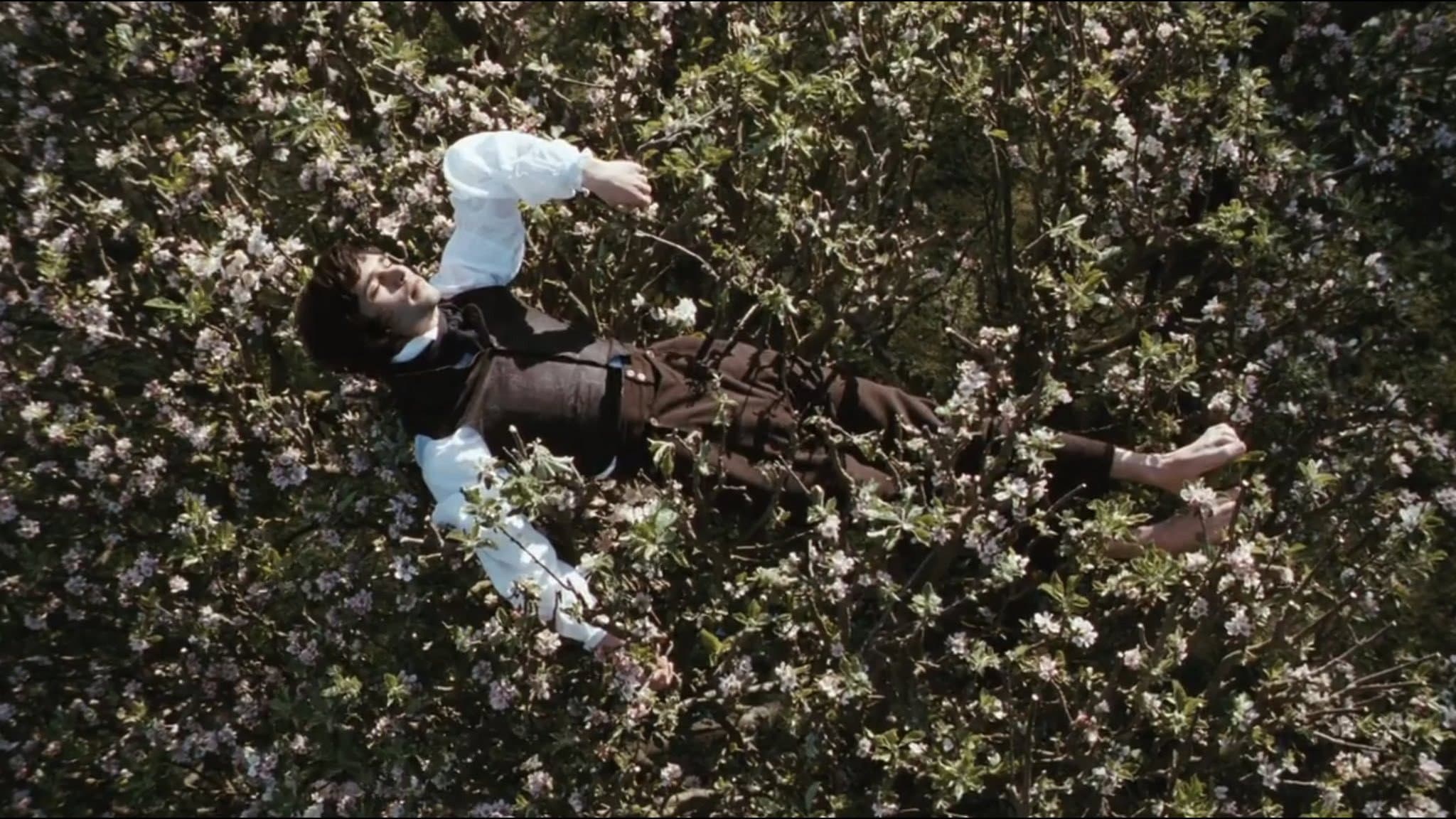Bright Star - immagine