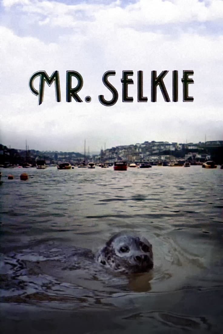 Poster di Mr. Selkie