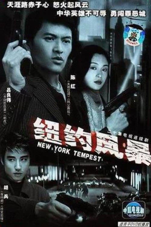Poster di 纽约风暴
